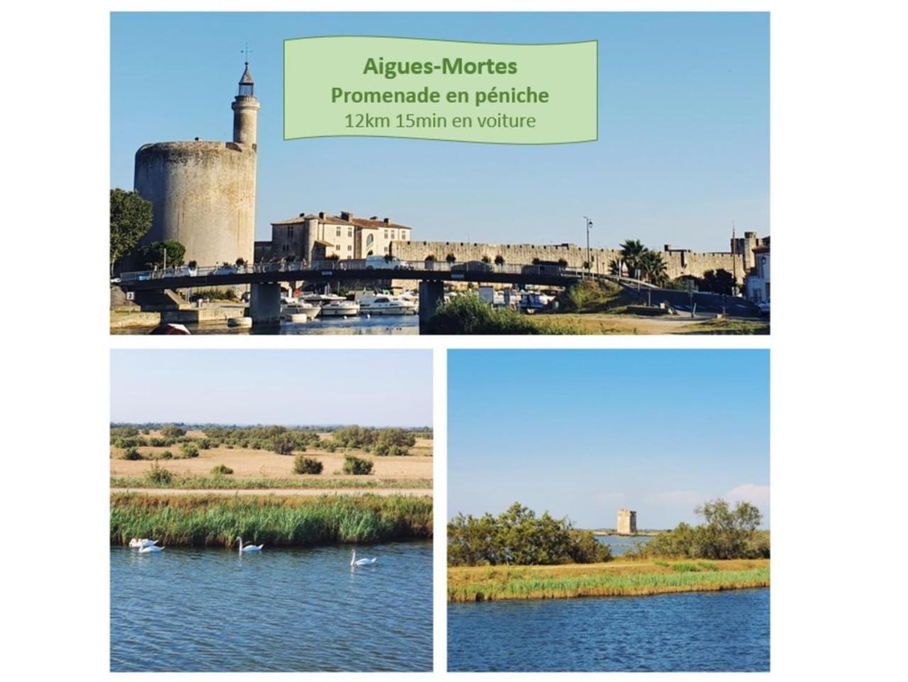 T2 Traversant Familial Cap Sud Parking Plages - Rossiconciergerie - Linge En Option La Grande Motte Bagian luar foto